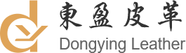 惠州市東盈皮革有限公司