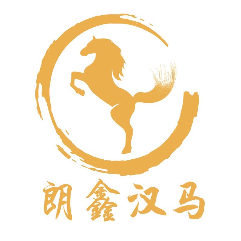 廣州朗鑫漢馬鞋服有限公司