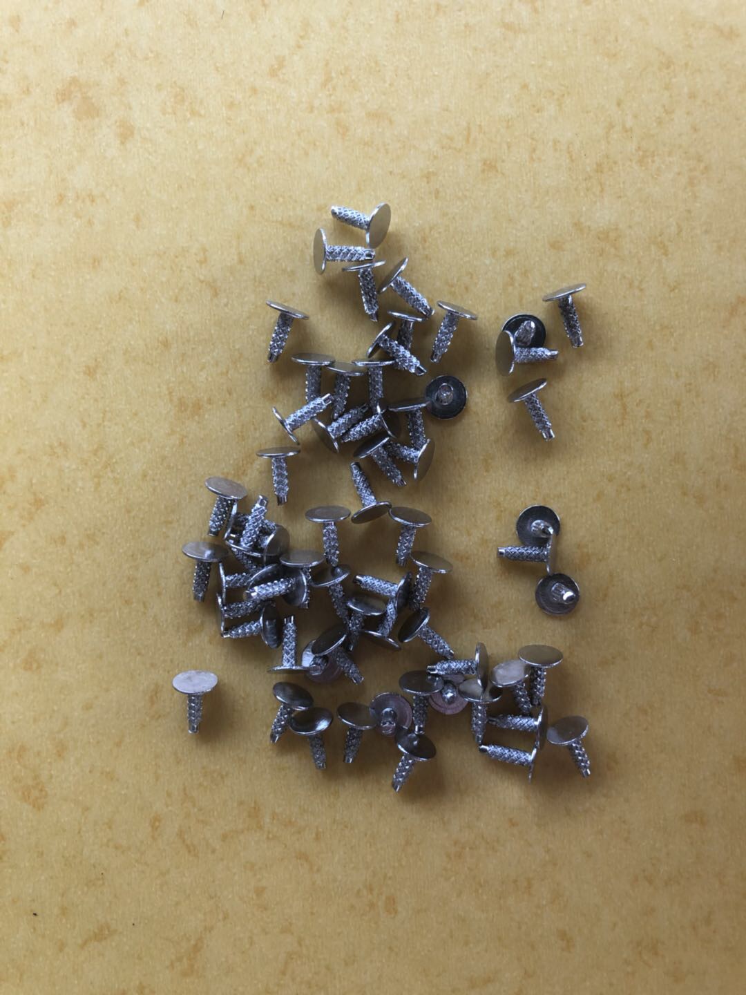 永嘉三江中宇鑫五金配件廠