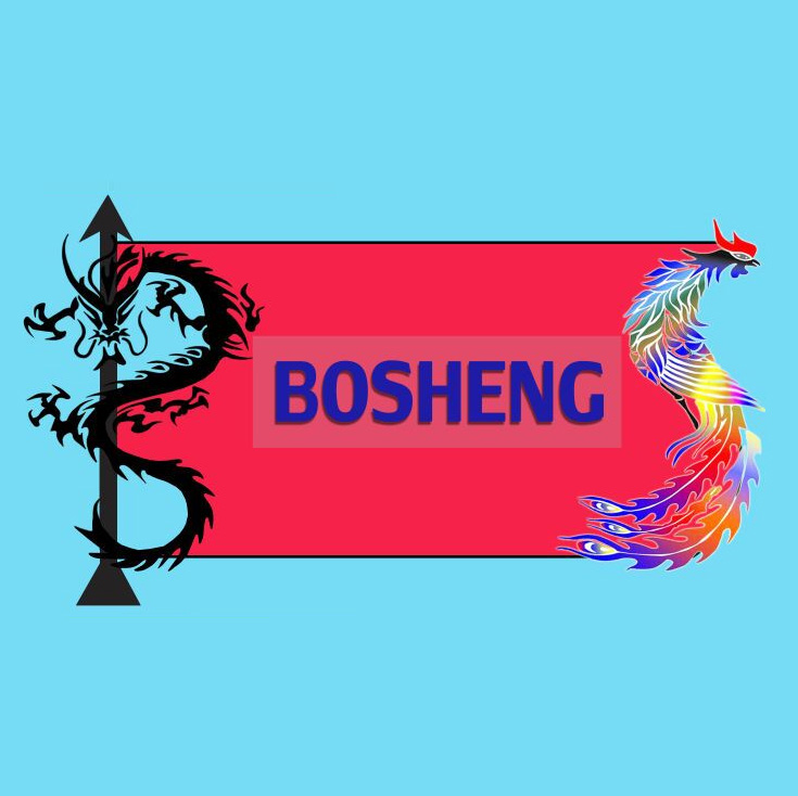 廣東伯昇鞋業有限公司