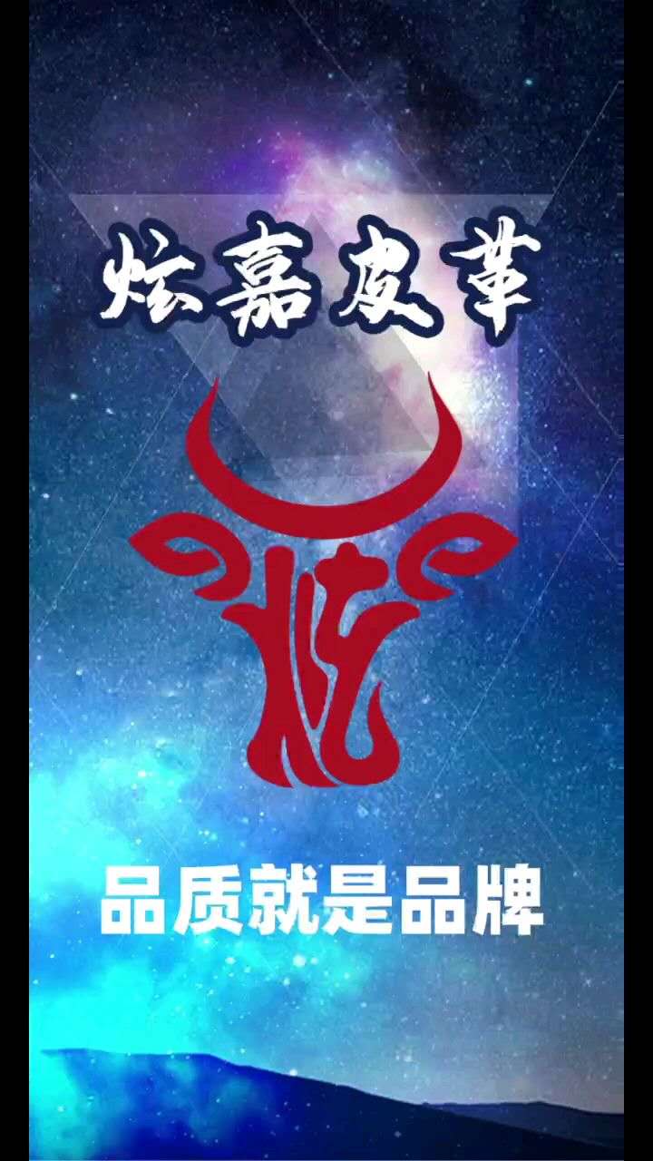 炫嘉皮革有限公司